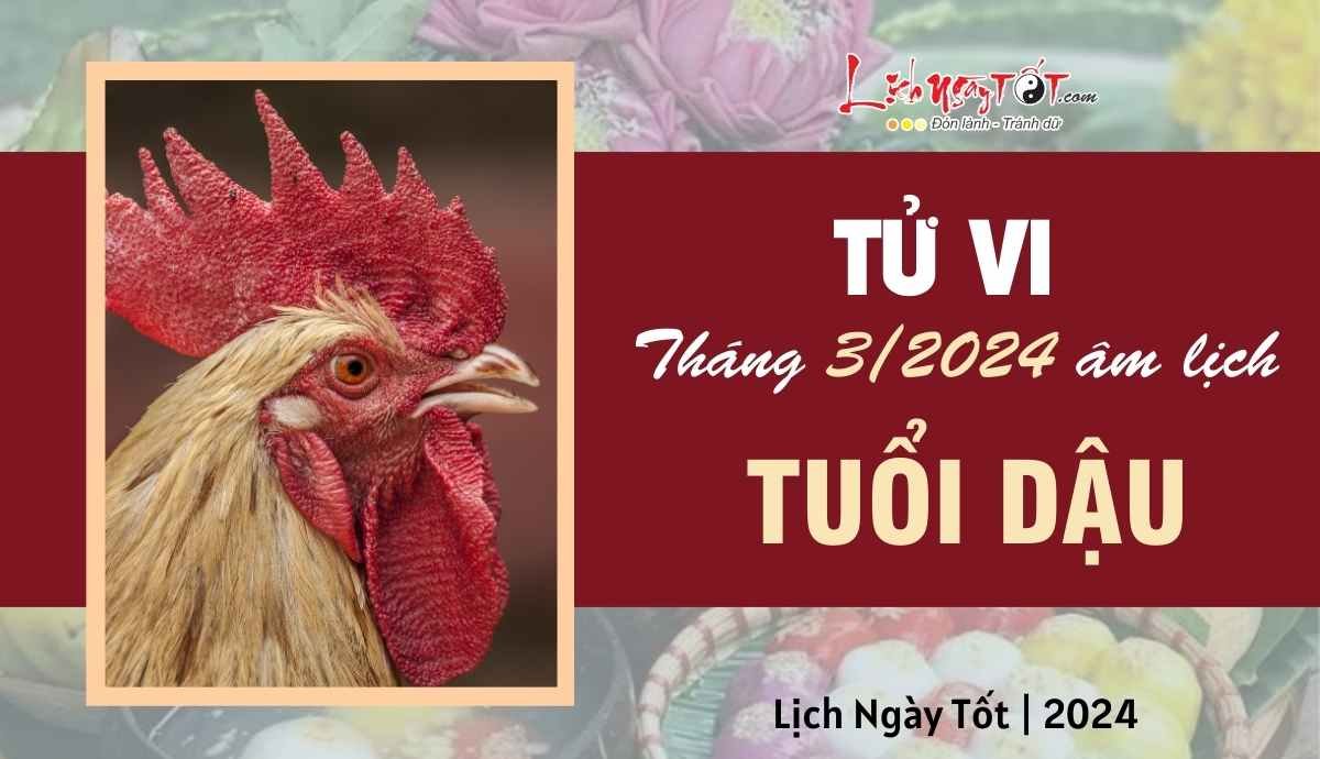 Tu vi thang 3/2024 tuoi Dau am lich