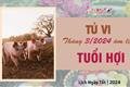 tu-vi-thang-32024-tuoi-hoi-am-lich-nong-nay-tuc-gian-voi-nhung-ke-tieu-nhan-1