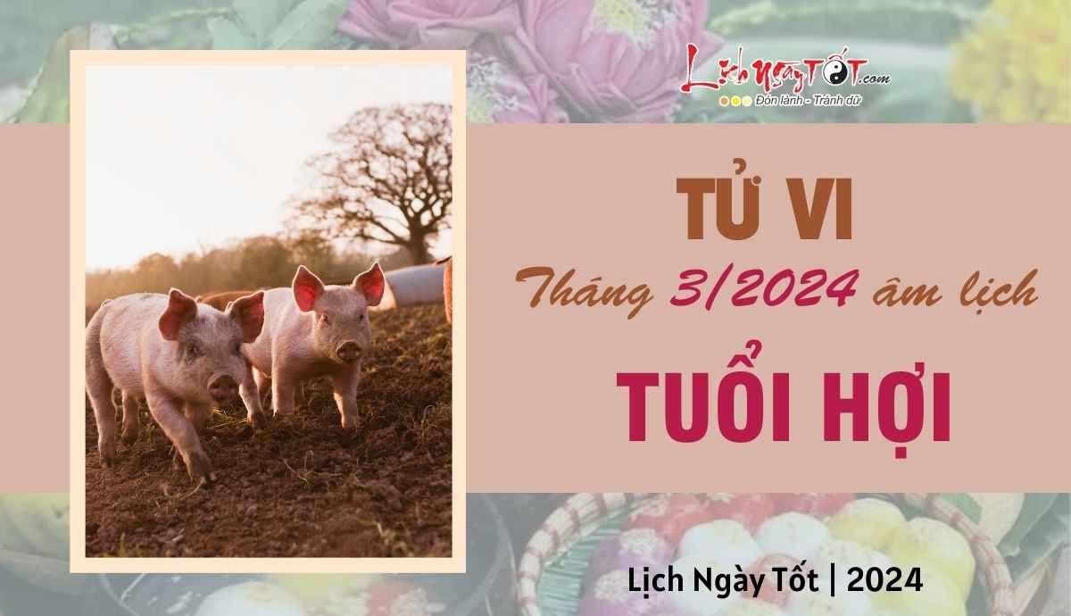 Tu vi thang 3/2024 tuoi Hoi am lich