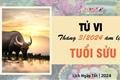 tu-vi-thang-32024-tuoi-suu-am-lich-vuot-qua-tro-ngai-truoc-su-ngo-ngang-cua-ke-thu