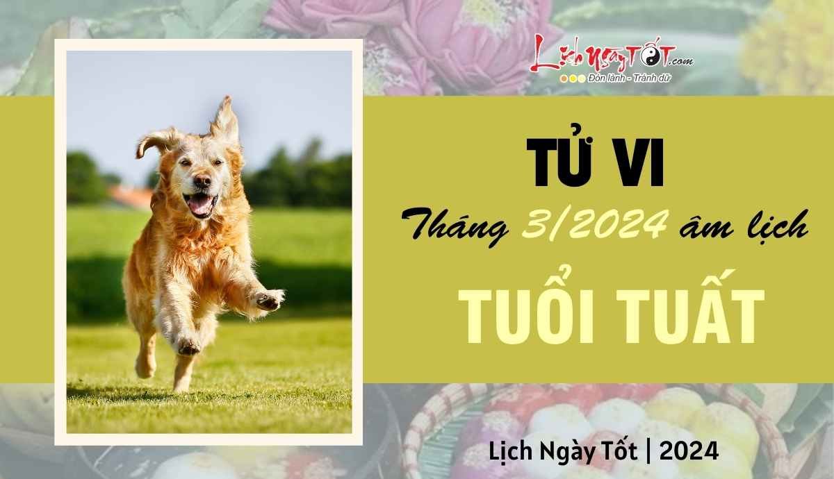 Tu vi thang 3/2024 tuoi Tuat am lich