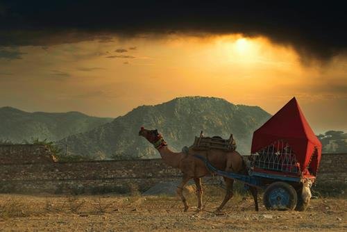 Tu vi tuan moi cua 12 cung hoang dao 30/10-5/11/2023