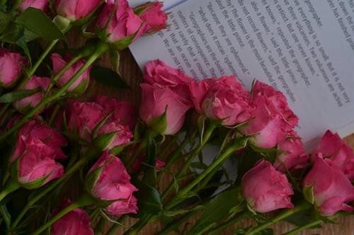 tuan moi cua bao binh