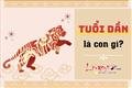 tuoi-dan-la-con-gi-sinh-nam-bao-nhieu-dac-trung-tinh-cach-cua-nguoi-tuoi-dan