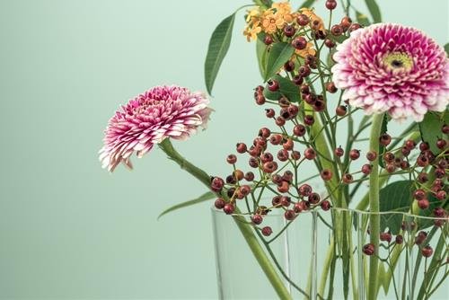 Tuổi Dậu Tuoi Dau