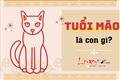 tuoi-mao-la-con-gi-tuoi-mao-sinh-nam-nao-con-meo-cua-12-con-giap-co-gi-dac-biet