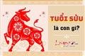tuoi-suu-la-con-gi-sinh-nam-nao-menh-gi-nguoi-tuoi-suu-hop-e28093-khac-tuoi-nao