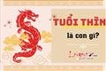 tuoi-thin-la-con-gi-tai-sao-tuoi-nay-duoc-vi-nhu-linh-thu-thin-co-gi-dac-biet
