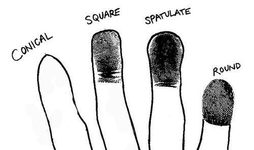 Tướng đầu ngón tay vuông hay tròn thì tốt hình ảnh gốc Tuong dau ngon tay vuong hay tron thi tot hinh anh goc