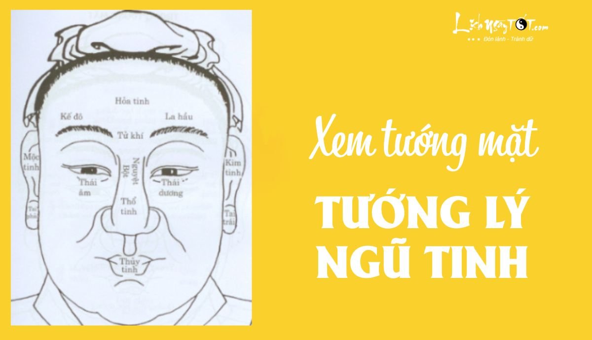 Tuong ly ngu tinh