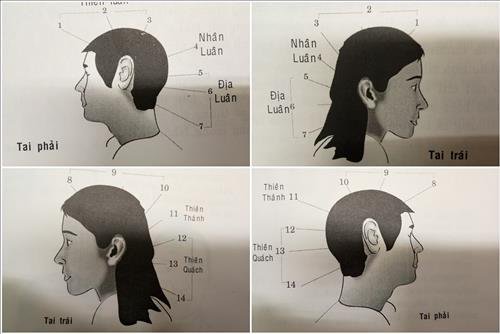 van so tuoi nien thieu qua doi tai van so tuoi nien thieu qua doi tai