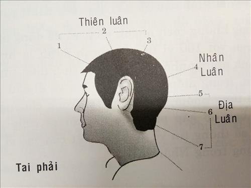 van-so-tuoi-nien-thieu-1-7-nam van-so-tuoi-nien-thieu-1-7-nam