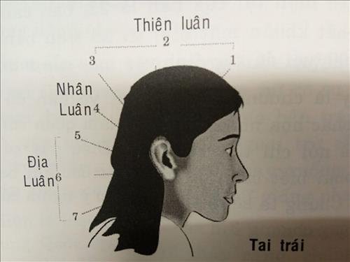 van-so-tuoi-nien-thieu-1-7-nu van-so-tuoi-nien-thieu-1-7-nu