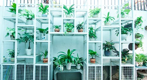 vat pham phong thuy may man