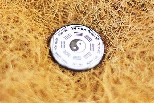 Vì sao phải kích hoạt cung Quý Nhân? Vi sao phai kich hoat cung Quy Nhan?