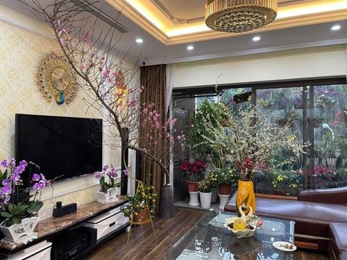 Vi tri dat cay canh ngay Tet theo phong thuy