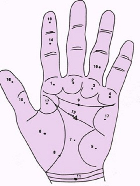 Vi tri not ruoi dai cat tren ban tay hinh anh