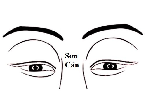 Vị trí và đặc điểm của tướng Sơn Căn hình ảnh Vi tri va dac diem cua tuong Son Can hinh anh