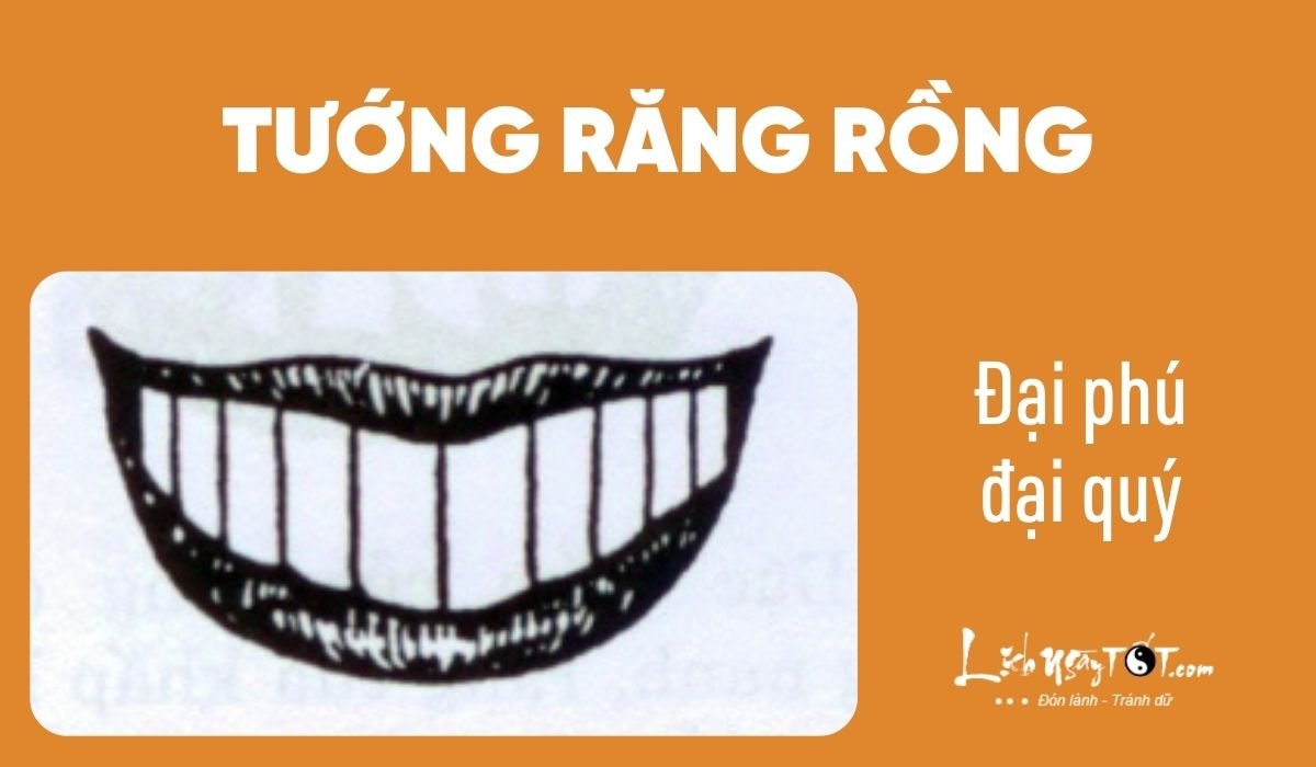 Xem nhân cách qua tướng răng - Răng rồng Xem nhan cach qua tuong rang - Rang rong