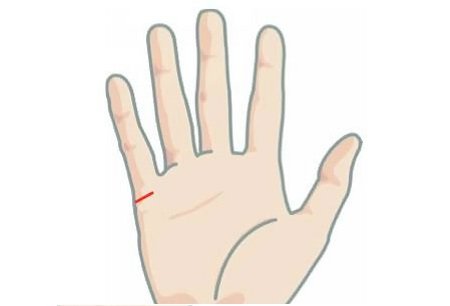 Xem chỉ tay để biết mức độ vượng tài sau hôn nhân hình ảnh Xem chi tay de biet muc do vuong tai sau hon nhan hinh anh