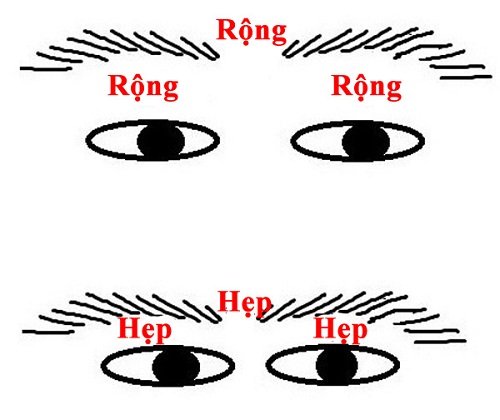 Xem đặc trưng của tướng người phúc đức hình ảnh Xem dac trung cua tuong nguoi phuc duc hinh anh