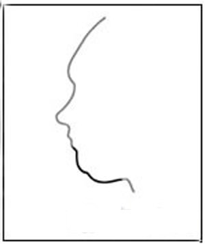 Xem đời người phụ nữ qua tướng cằm hình ảnh 3 Xem doi nguoi phu nu qua tuong cam hinh anh 3