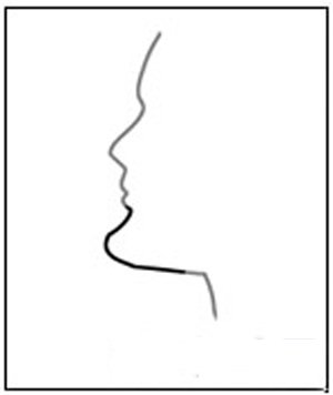 Xem đời người phụ nữ qua tướng cằm hình ảnh 5 Xem doi nguoi phu nu qua tuong cam hinh anh 5