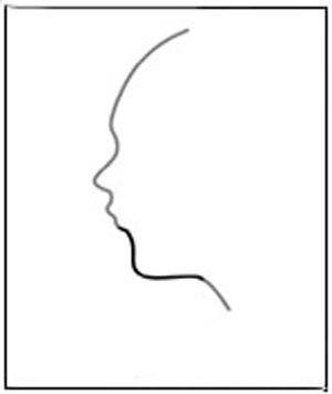 Xem đời người phụ nữ qua tướng cằm hình ảnh 6 Xem doi nguoi phu nu qua tuong cam hinh anh 6