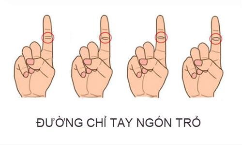xem duong chi tay ngon tro xem duong chi tay ngon tro