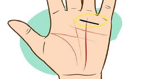 Xem đường vân lý tài Xem duong van ly tai