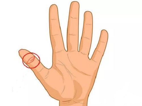 Xem đường vân mắt phượng Xem duong van mat phuong