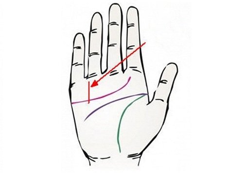 Xem đường vân tài vận Xem duong van tai van