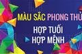 xem-mau-hop-tuoi-hop-menh-e28093-ung-dung-de-cai-thien-phong-thuy-tang-cuong-van-khi