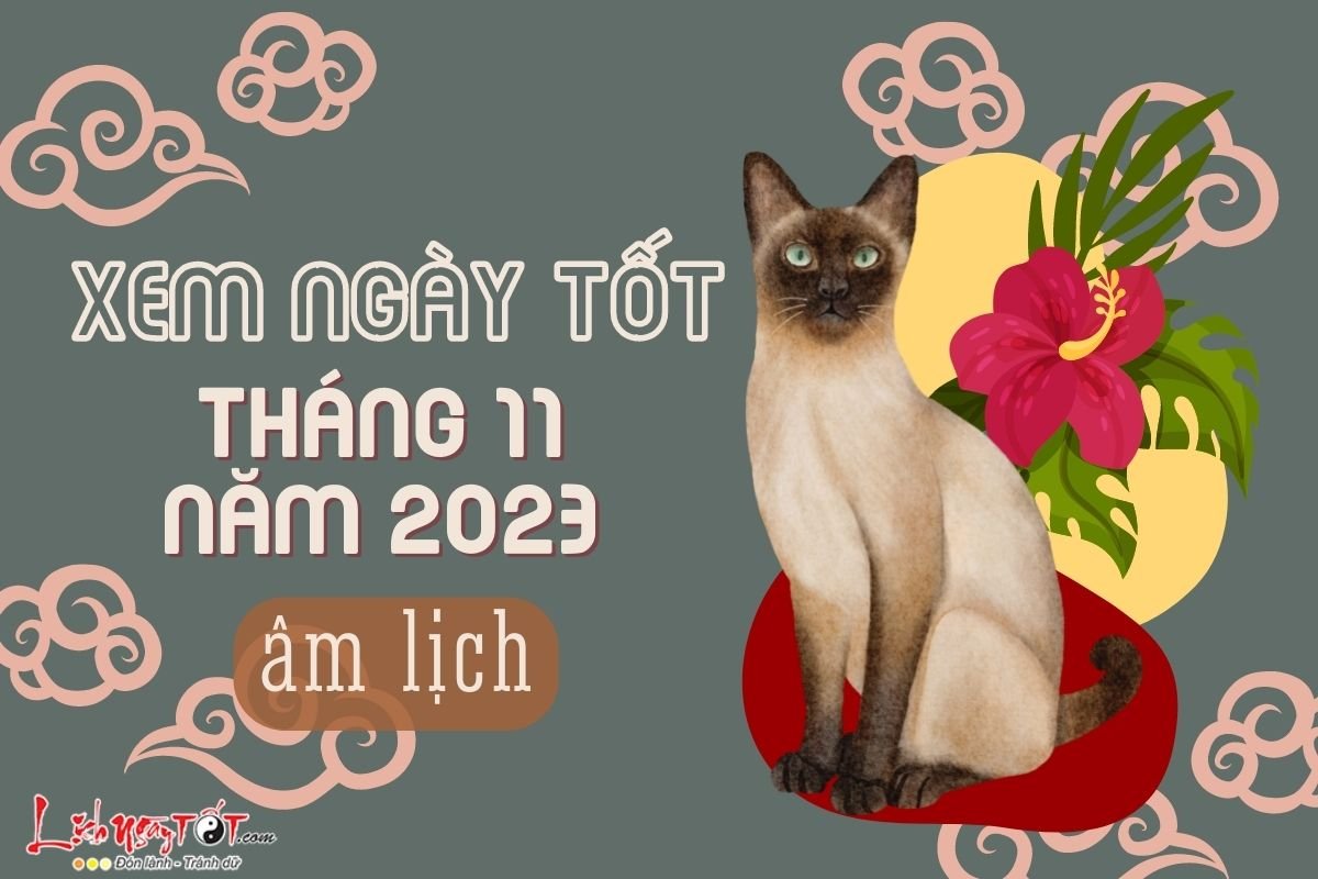 Xem ngay tot xau thang 11 nam 2023
