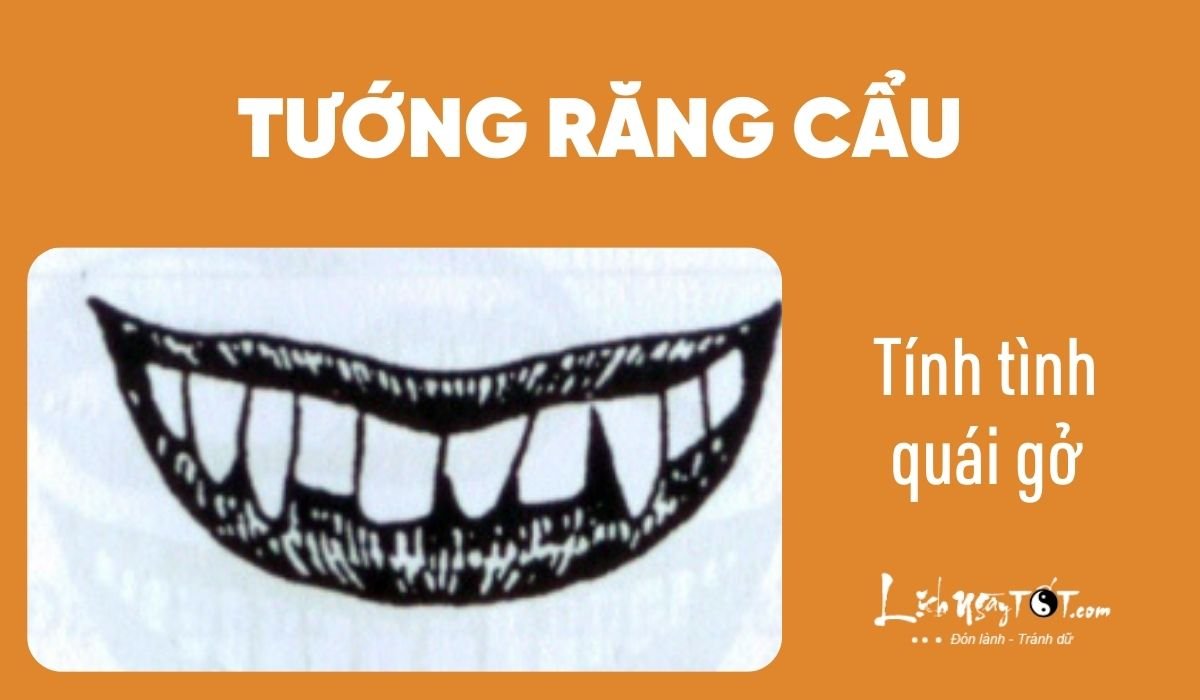 Xem nhân cách qua tướng răng - Răng chó Xem nhan cach qua tuong rang - Rang cho