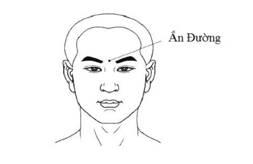 Xem tướng Ấn Đường và tìm hiểu về vị trí của nó hình ảnh Xem tuong An Duong va tim hieu ve vi tri cua no hinh anh