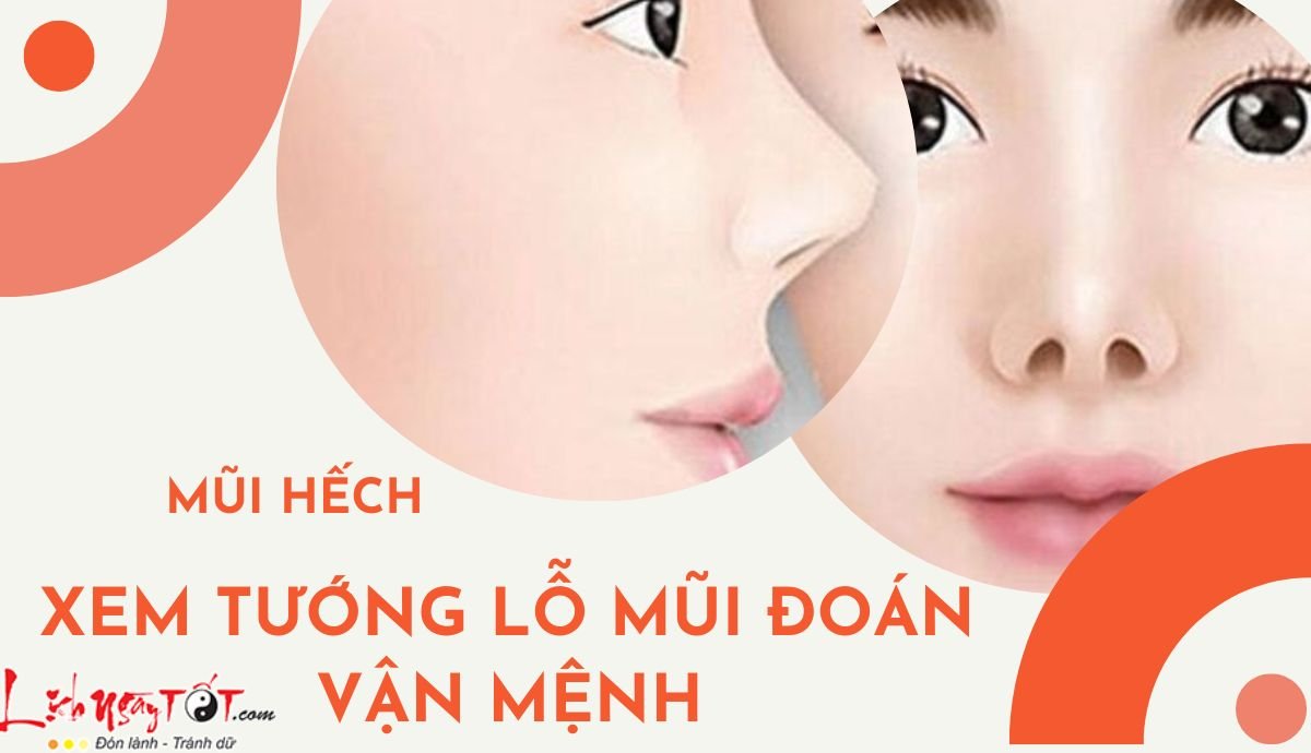 Xem tướng lỗ mũi đoán vận mệnh - mũi hếch Xem tuong lo mui doan van menh - mui hech