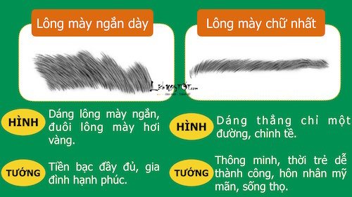 Xem tướng lông mày để biết anh hào hay tiểu nhân hình ảnh 11 Xem tuong long may de biet anh hao hay tieu nhan hinh anh 11