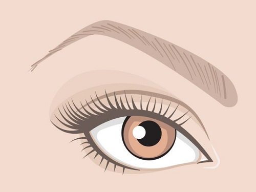 Xem tướng mắt đoán định vận mệnh cuộc đời chính xác hình ảnh Xem tuong mat doan dinh van menh cuoc doi chinh xac hinh anh