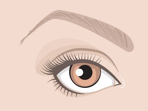 Xem tướng mắt đoán định vận mệnh cuộc đời chính xác hình ảnh Xem tuong mat doan dinh van menh cuoc doi chinh xac hinh anh