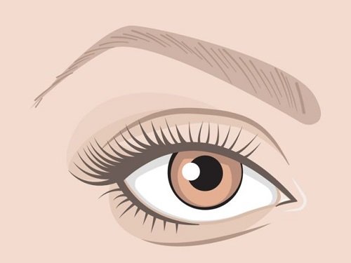 Xem tướng mắt đoán định vận mệnh cuộc đời chính xác hình ảnh Xem tuong mat doan dinh van menh cuoc doi chinh xac hinh anh