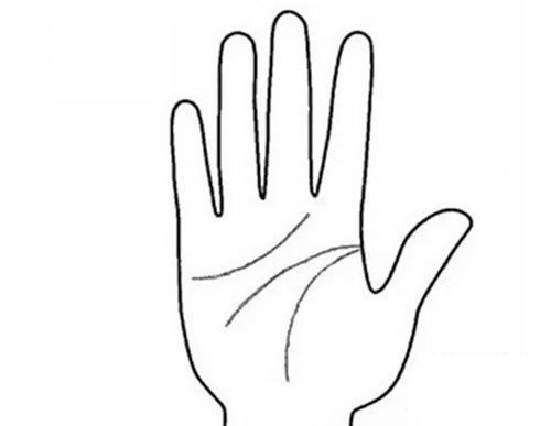 xem tướng tay hình ảnh 2 xem tuong tay hinh anh 2