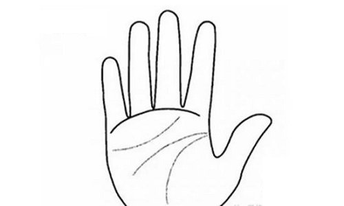 xem tướng tay hình ảnh 3 xem tuong tay hinh anh 3