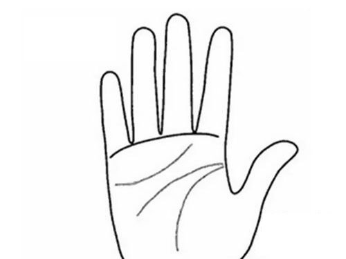 xem tướng tay hình ảnh 4 xem tuong tay hinh anh 4