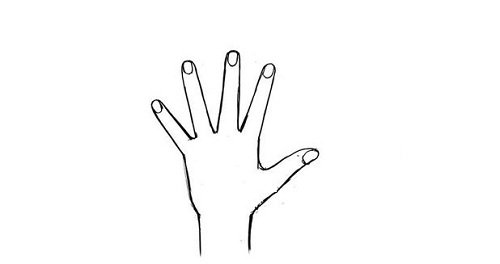 xem tướng tay mu bàn tay đầy đặn xem tuong tay mu ban tay day dan