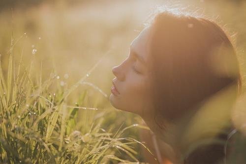 Xep hang muc do khXep hang muc do khiem ton cua 12 chom saoiem ton cua 12 chom sao