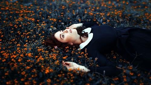 Xep hang muc do mo mong cua 12 chom sao