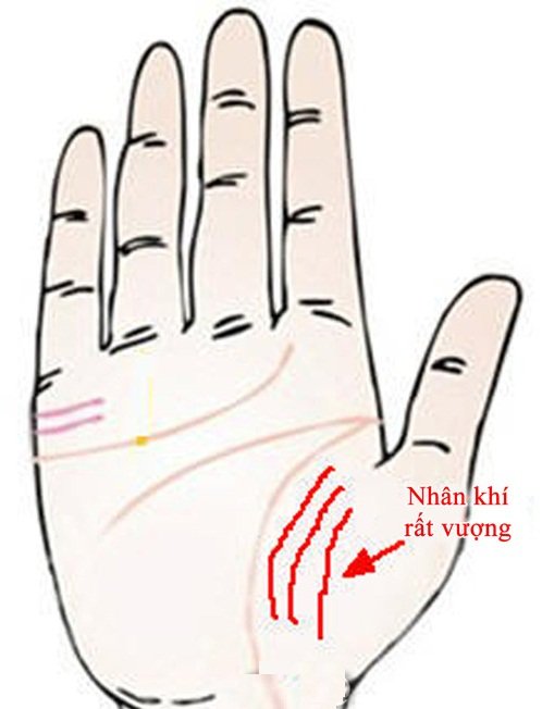 Xoe ban tay nhin ngay nhan duyen tot dep hinh anh 2