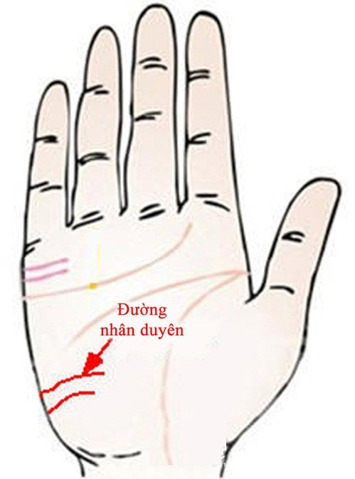 Xoe ban tay nhin ngay nhan duyen tot dep hinh anh 3