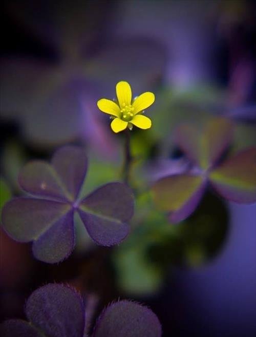 Xu Nu Tu nhin lai ban than khi bi tu choi tinh cam